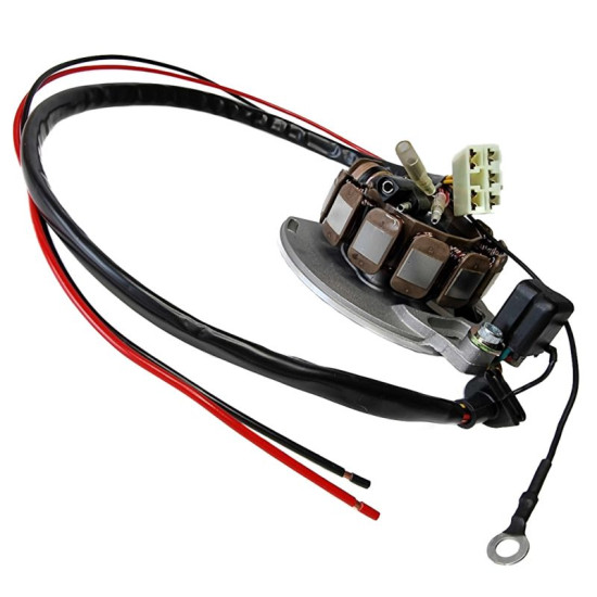 ELECTREX windings with voltage regulator KTM/GAS GAS