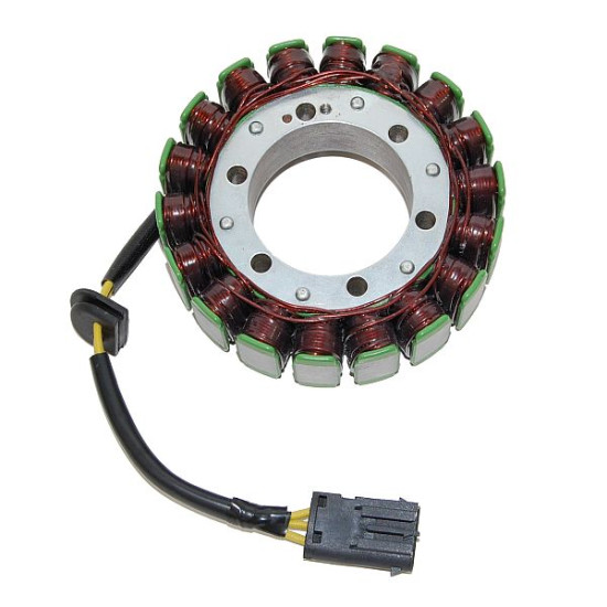 ELECTROSPORT apvijos BMW F...