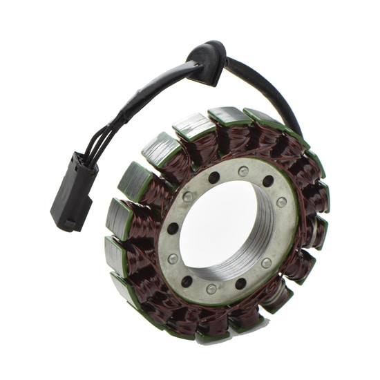 ELECTROSPORT windings BMW G650X 06-09