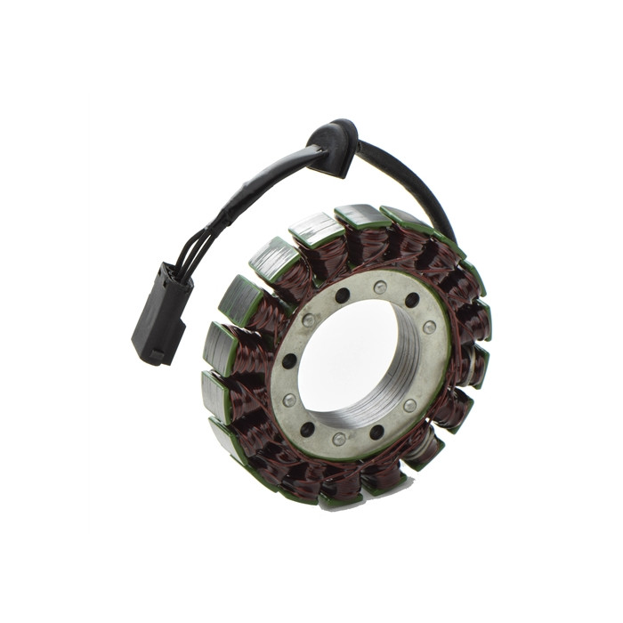 ELECTROSPORT windings BMW G650X 06-09