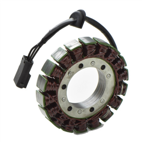ELECTROSPORT windings BMW G650X 06-09