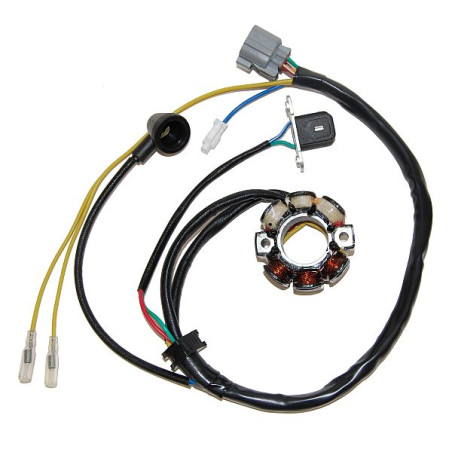 ELECTROSPORT windings (with lights) KAWASAKI KXF 250 (04), SUZUKI RMZ 250 (04) (Hall sensor) (50W)