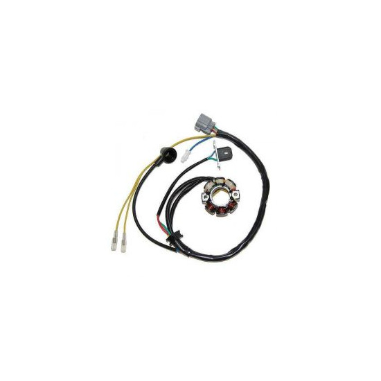 ELECTROSPORT apvijos (su...