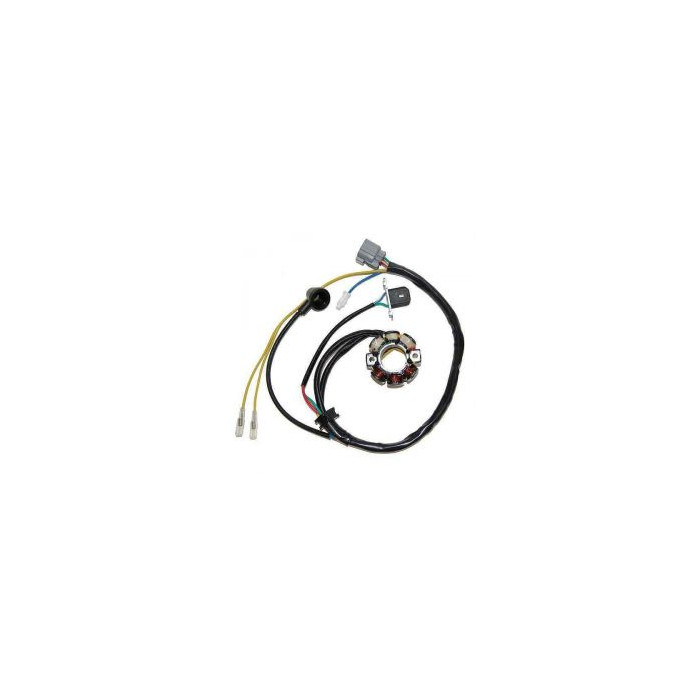 ELECTROSPORT windings (with lights) KAWASAKI KXF 250 (05-10), SUZUKI RMZ 250 (05-06) (Hall sensor) (50W)