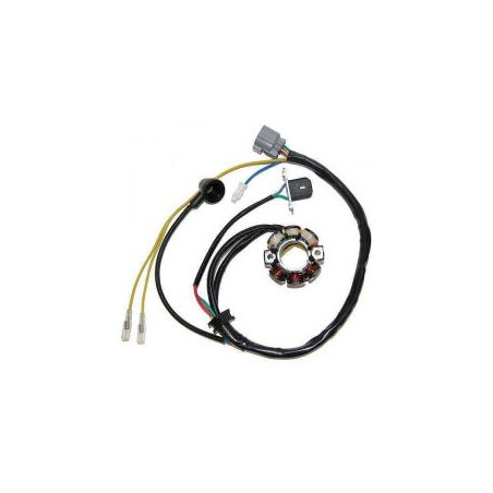ELECTROSPORT windings (with lights) KAWASAKI KXF 250 (05-10), SUZUKI RMZ 250 (05-06) (Hall sensor) (50W)