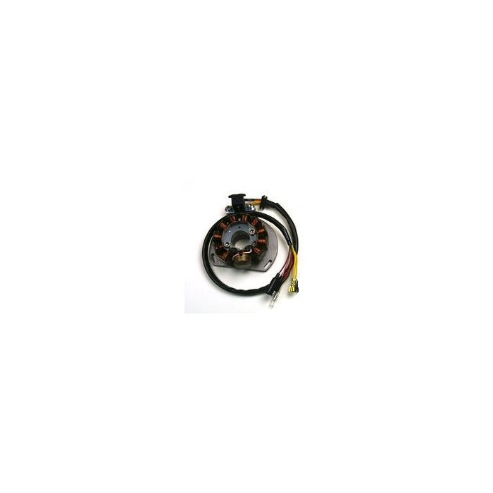 ELECTREX windings KTM 125/200/300 HI POWER WATT