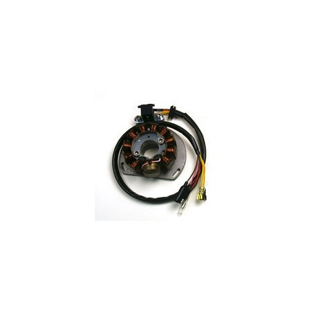 ELECTREX windings KTM 125/200/300 HI POWER WATT