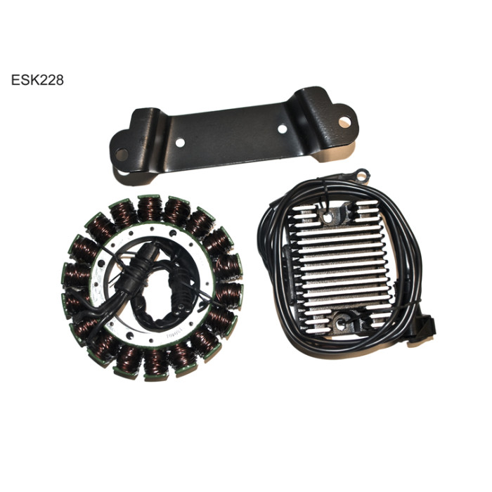 ELECTROSPORT WINDING KIT HD, HARLEY DAVIDSON EVO TOURING (97-98)