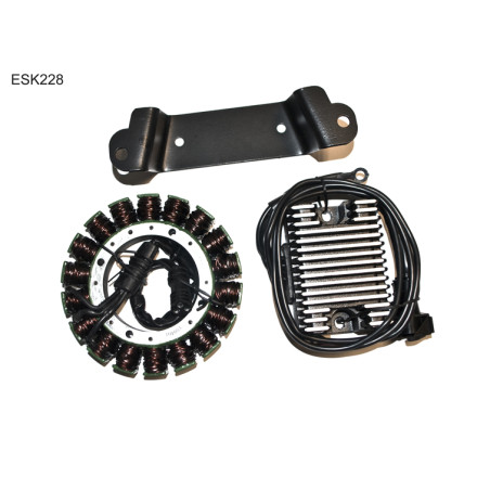 ELECTROSPORT WINDING KIT HD, HARLEY DAVIDSON EVO TOURING (97-98)
