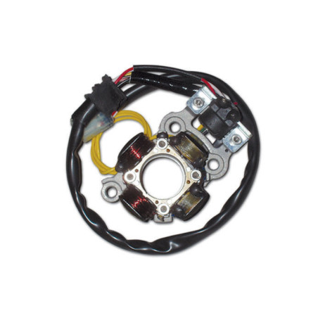 ELECTREX windings (with lights) YAMAHA YZF 450 '06-'09 (YZF450,YZ450F)