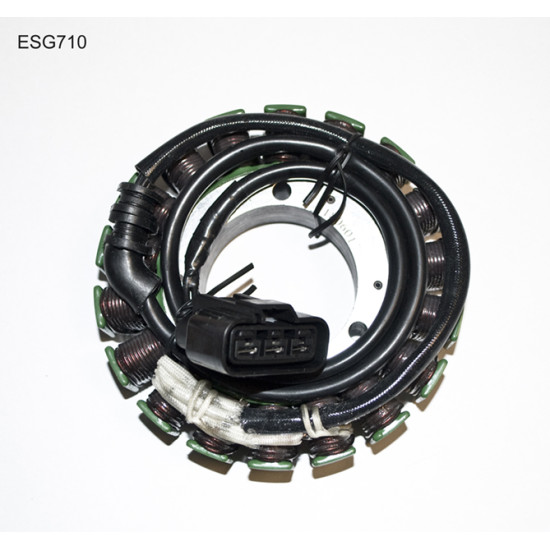 ELECTROSPORT windings TRIUMPH ROCKET III (05-10)