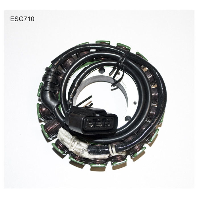 ELECTROSPORT windings TRIUMPH ROCKET III (05-10)
