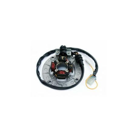 ELECTREX windings (with lights) YAMAHA YZF250 '04-,YZF400/426/450 '98-'05 (set)