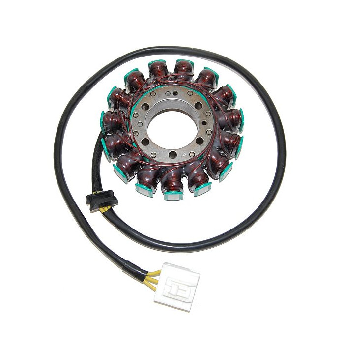 ELECTROSPORT windings KAWASAKI ZX-14 NINJA (06-13)