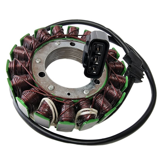 ELECTROSPORT windings YAMAHA FJR1300 13-16