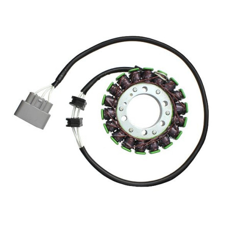 ELECTROSPORT windings YAMAHA XV 1700 ROAD STAR (02-06)