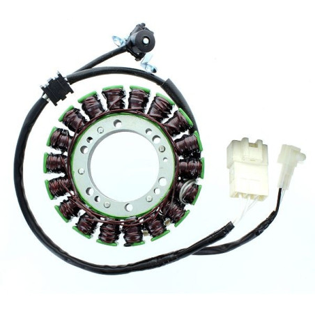 ELECTROSPORT windings YAMAHA XVS1300 V-STAR/TOURER 07-16, XVS1300 STRYKER 11-16 (Hall sensor)