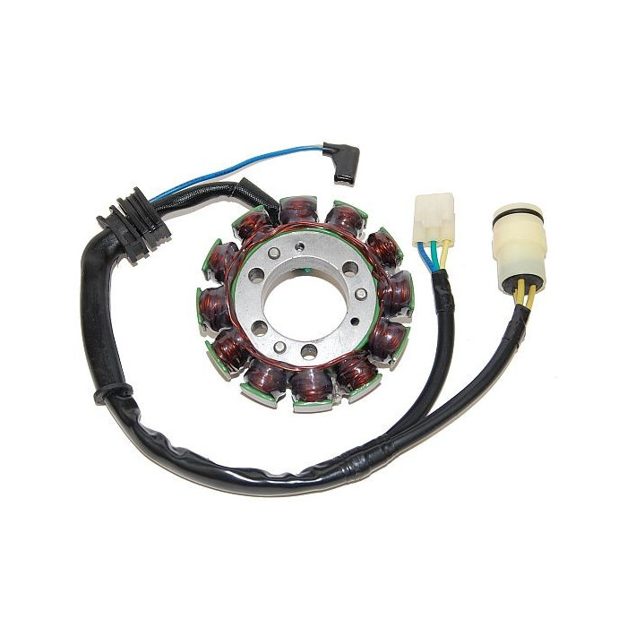 ELECTROSPORT windings (with lights) HONDA TRX 300FW Fourtrax (88-00) (12 coils)
