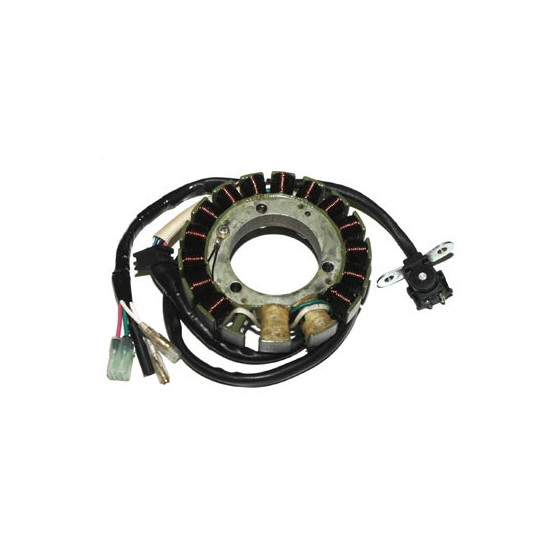 ELECTROSPORT apvijos (su...