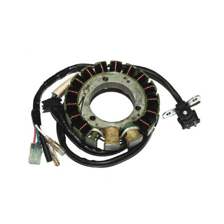 ELECTROSPORT windings (with lights) HONDA TRX 400EX SPORTRAX (99-14)