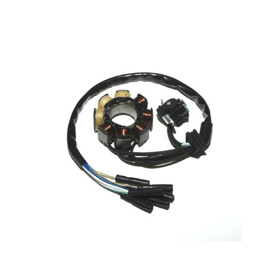 ELECTROSPORT windings (with lights) HONDA CRF 450R - 60W (Halo sensor)