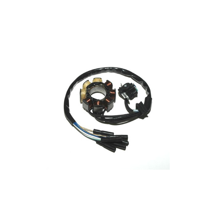 ELECTROSPORT windings (with lights) HONDA CRF 450R - 60W (Halo sensor)