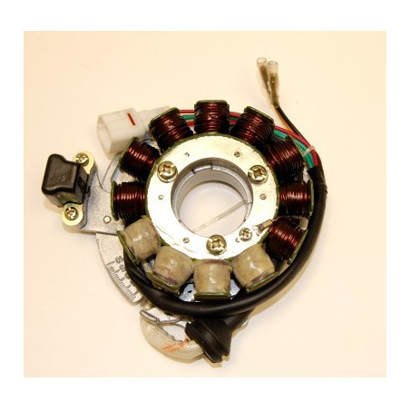 ELECTROSPORT apvijos YAMAHA YFZ 350 BANSHEE (95-06) HIGH POWER