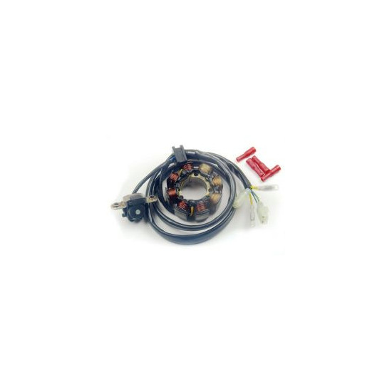 ELECTREX windings (with lights) HONDA CRF 450 '02-'09, CRF 250 '04-'09 (CRF250R,CRF450R)