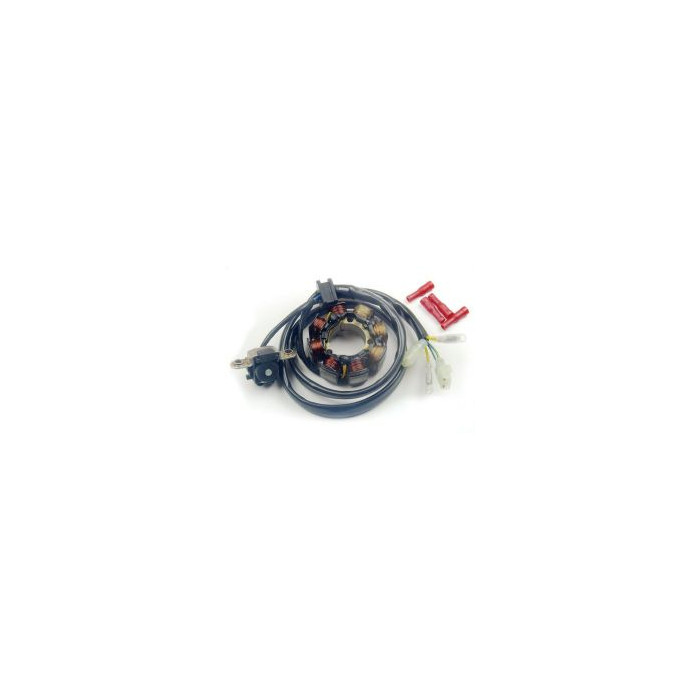 ELECTREX windings (with lights) HONDA CRF 450 '02-'09, CRF 250 '04-'09 (CRF250R,CRF450R)