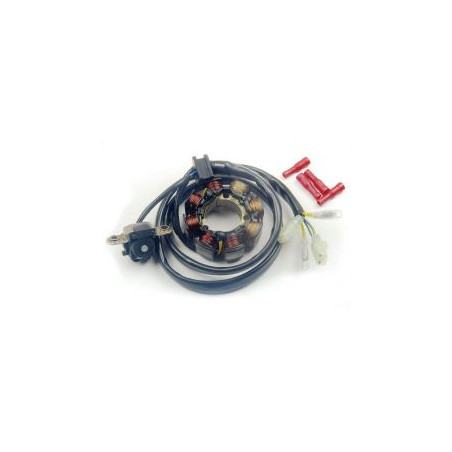 ELECTREX apvijos (su šviesomis) HONDA CRF 450 '02-'09, CRF 250 '04-'09 (CRF250R,CRF450R)