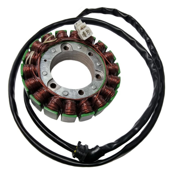 ELECTROSPORT windings TRIUMPH TWIN EFI