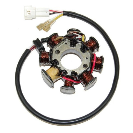 ELECTROSPORT apvijos KTM 250/400/450/520/525, HUSABERG 450/550/650 04-08