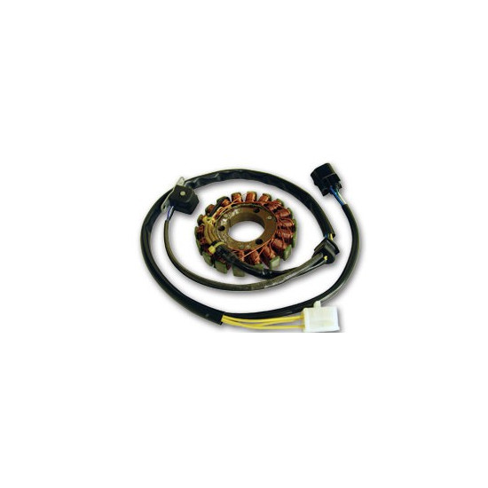 ELECTREX windings SUZUKI DRZ 400 (93X35X12MM) DRZ 400E, S, SM '00-'12 (93X35X12 MM)