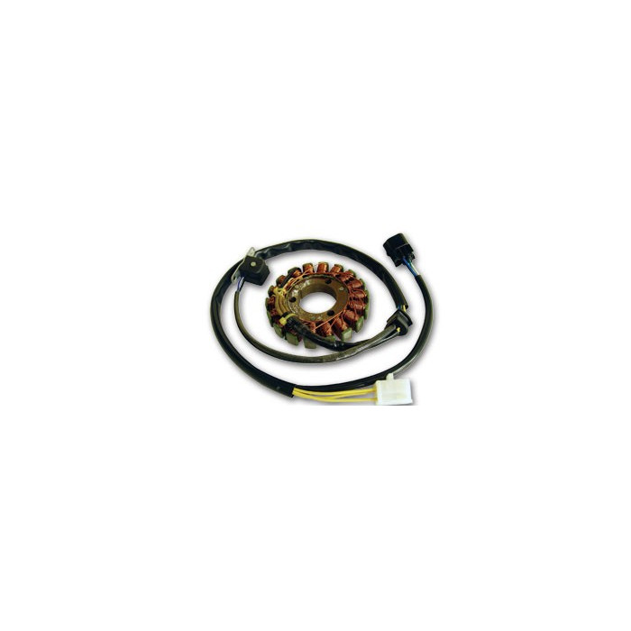 ELECTREX windings SUZUKI DRZ 400 (93X35X12MM) DRZ 400E, S, SM '00-'12 (93X35X12 MM)