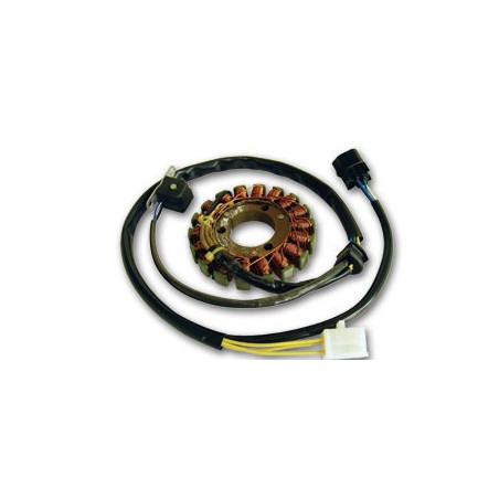 ELECTREX apvijos SUZUKI DRZ 400 (93X35X12MM) DRZ 400E, S, SM '00-'12 (93X35X12 MM)