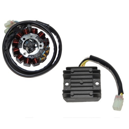 ELECTROSPORT apvijos HONDA CRF 450X (05-12) (holo daviklis) (150W)