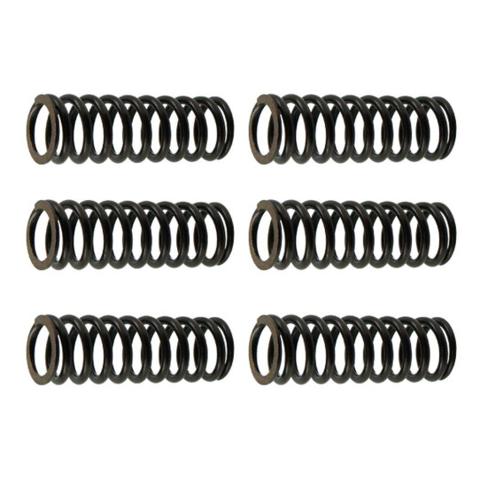 PSYCHIC CLUTCH SPRINGS SUZUKI RMZ 250 '07-'09, (EBS125)