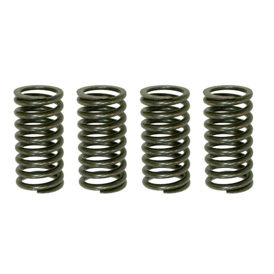 PSYCHIC SANKABOS SPYRUOKLĖS KAWASAKI KDX 200 '05-'06, HONDA NX 250R '88-'90 (EBS030)