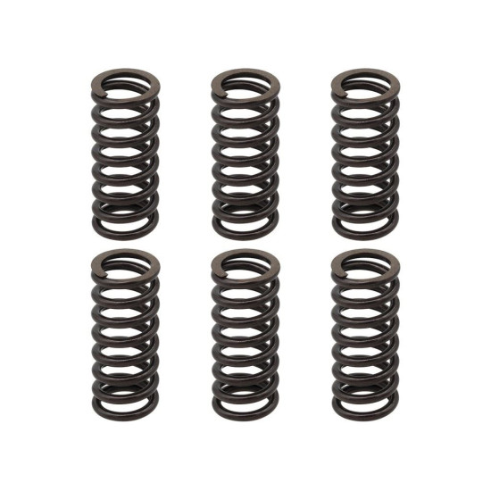 PSYCHIC SANKABOS SPYRUOKLĖS KTM EXC 250 RACING '02-'05, EXC-F 250 '03-'04, EXC 400 '01-'07, SX/MXC '00-'02, EXC/MXC/SMR/