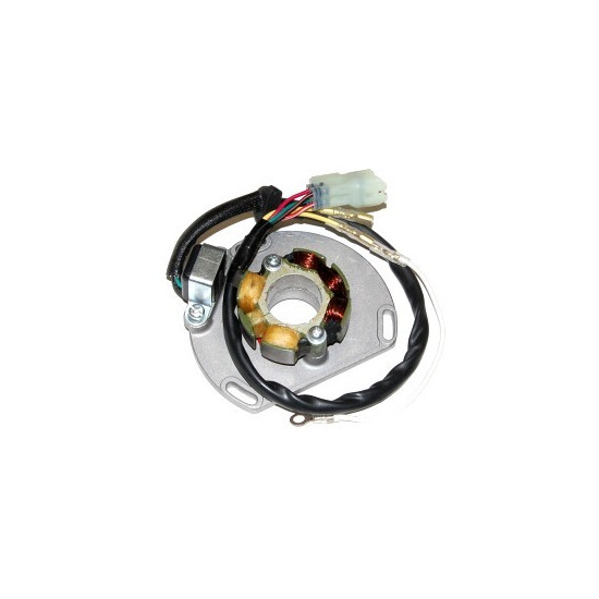 ELECTROSPORT coil (with lights) KTM 125/200/250/300 EXC/SX/XC 06- (50W) set with plate and hall sensor