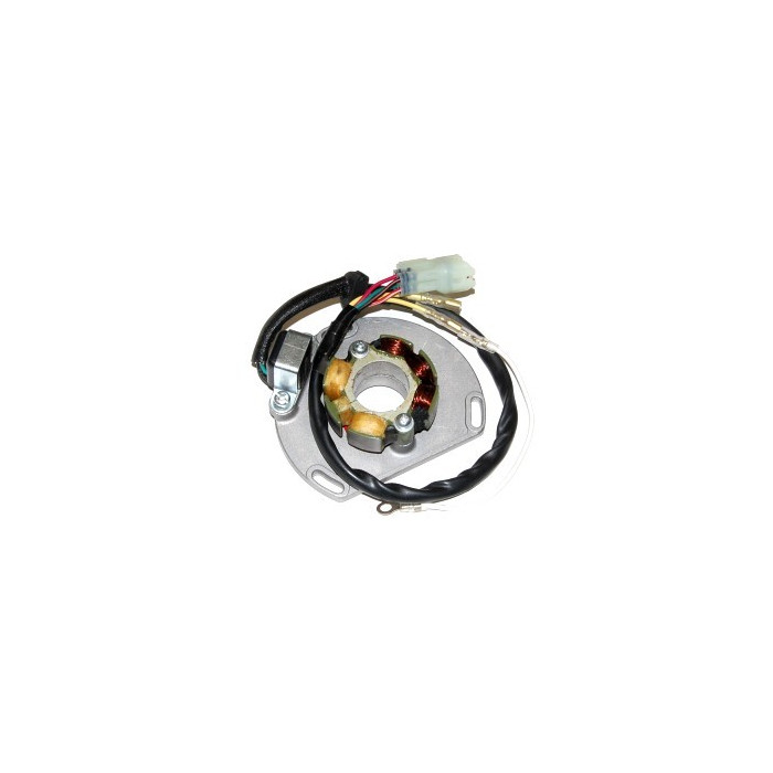 ELECTROSPORT coil (with lights) KTM 125/200/250/300 EXC/SX/XC 06- (50W) set with plate and hall sensor