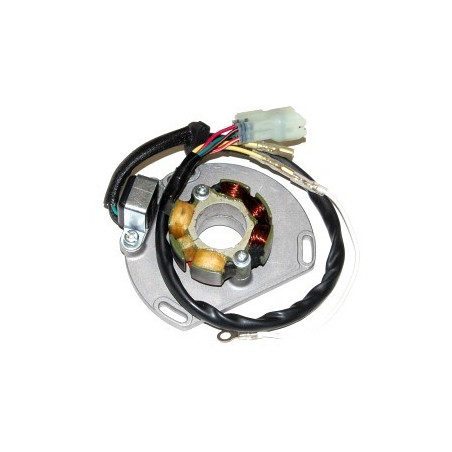 ELECTROSPORT apvijos (su šviesomis) KTM 125/200/250/300 EXC/SX/XC 06- (50W) komplektas su plokštele ir holo daviklis