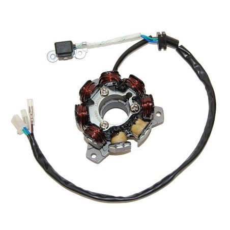 ELECTROSPORT windings HONDA TRX 250R (86-89)