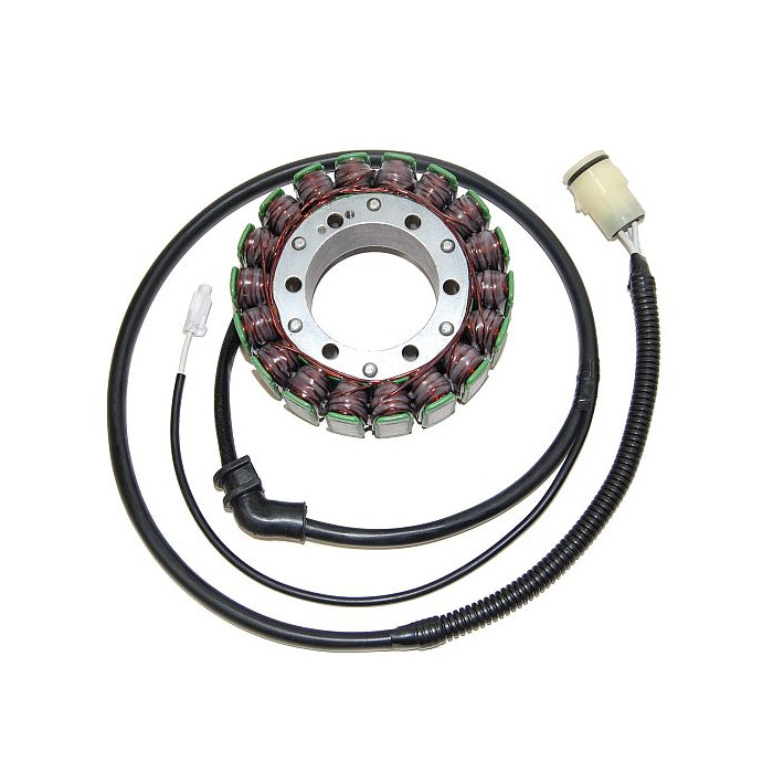 ELECTROSPORT windings KAWASAKI ZX-12R (00-01)