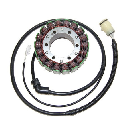 ELECTROSPORT apvijos KAWASAKI ZX-12R (00-01)