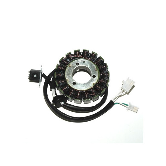 ELECTROSPORT apvijos SUZUKI DL 650 V-STROM (02-07)