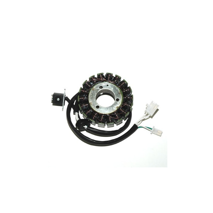 ELECTROSPORT windings SUZUKI DL 650 V-STROM (02-07)