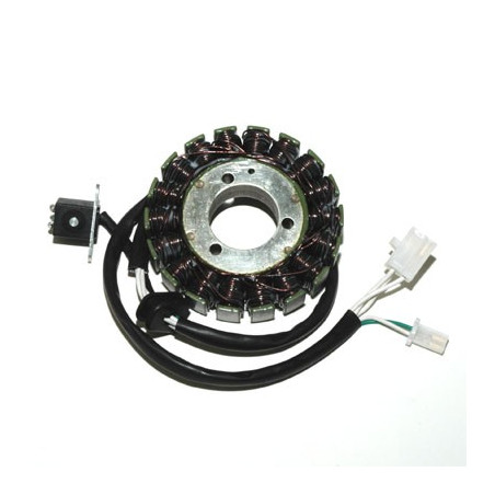 ELECTROSPORT apvijos SUZUKI DL 650 V-STROM (02-07)