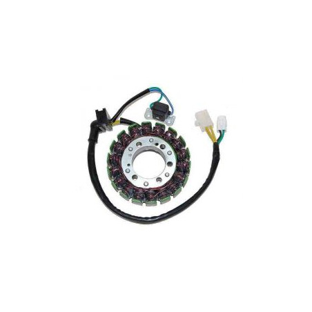 ELECTROSPORT apvijos SUZUKI LTF 250/300 (87-02)