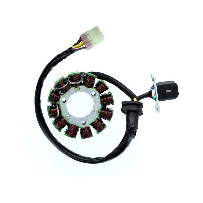 ELECTROSPORT coils SUZUKI RMZ 250 (10-13), RMZ 450 (08-12) (Hall sensor)